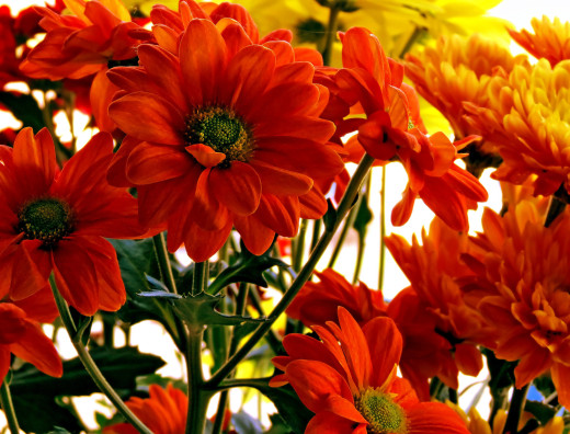 584193 (a): :1638x1245